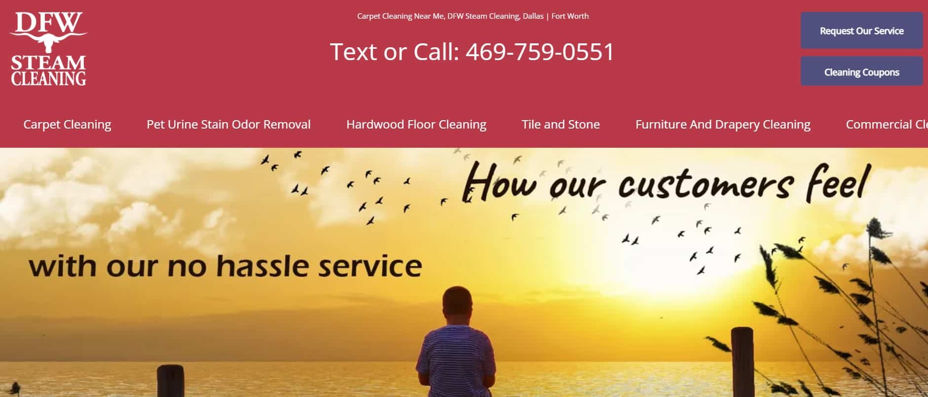 DFW Steam Cleaning Homepage