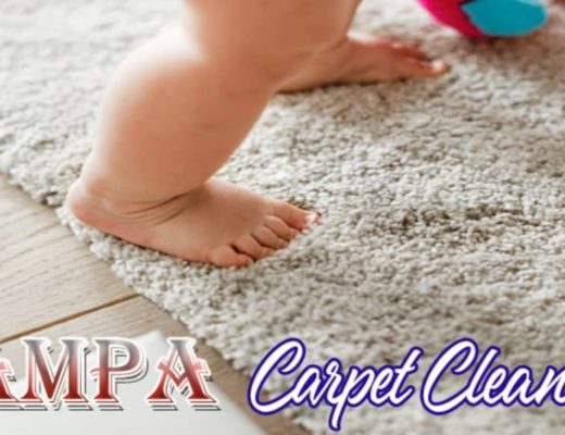 Best Carpet Cleaning Tampa