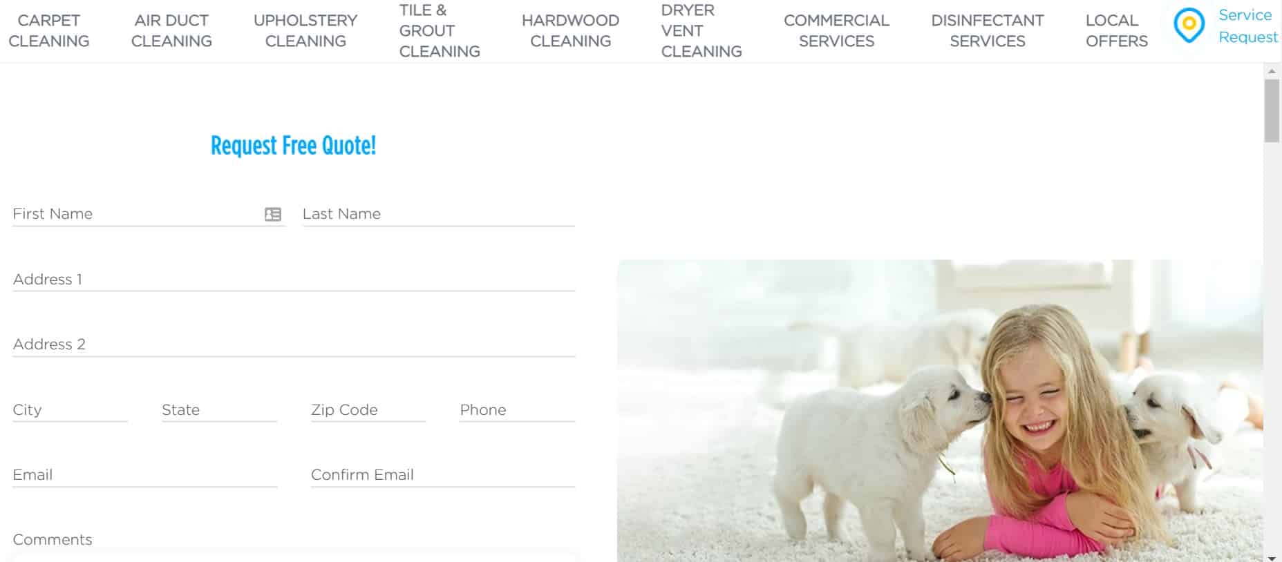 Sears Clean Homepage