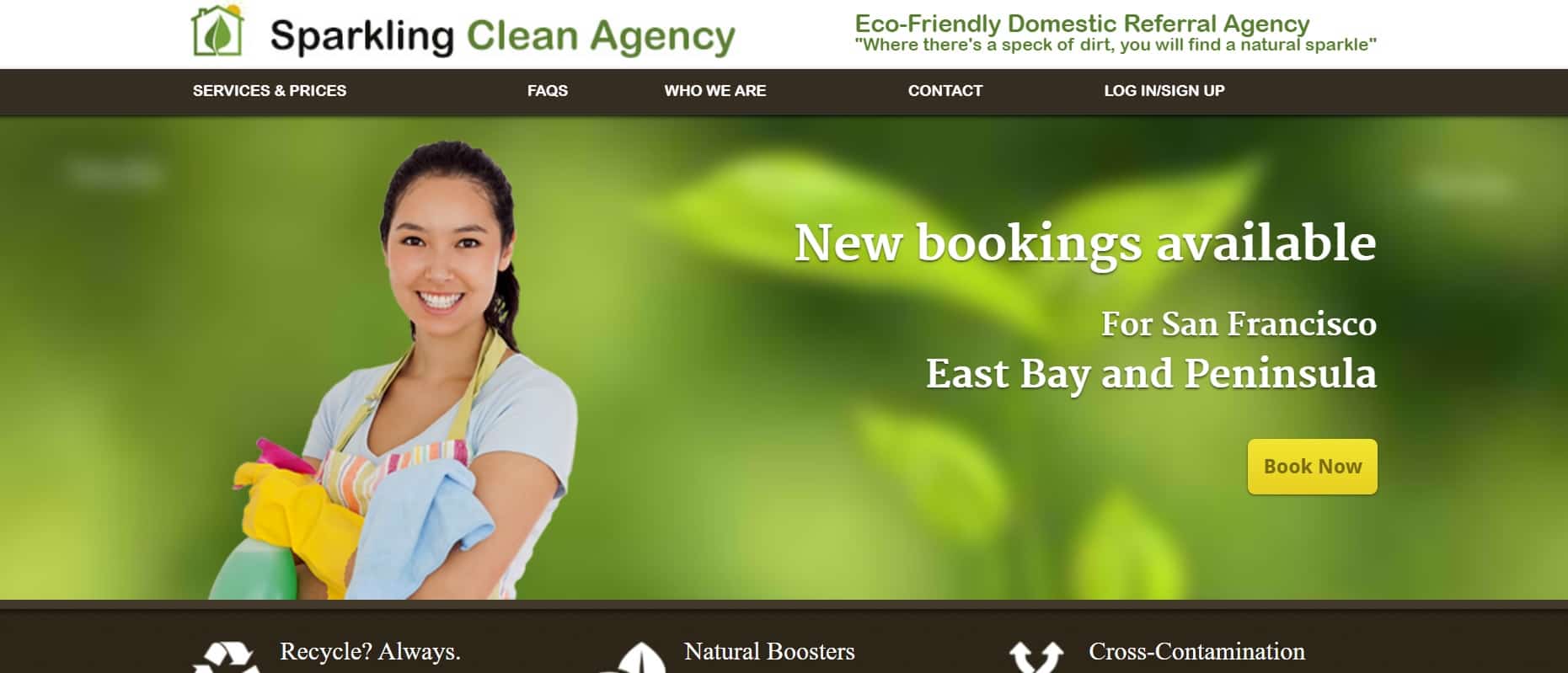 Sparkling Clean Agency Homepage