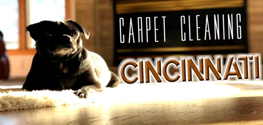 Best Carpet Cleaners Cincinnati