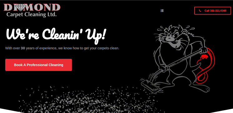 Diamond Carpet Cleaning Homepage