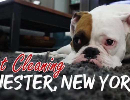 Best Carpet Cleaning Rochester NY