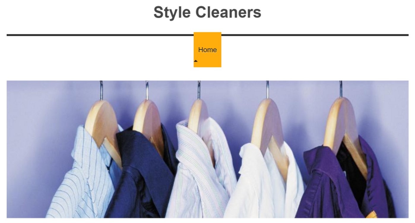 Style Cleaners Homepage