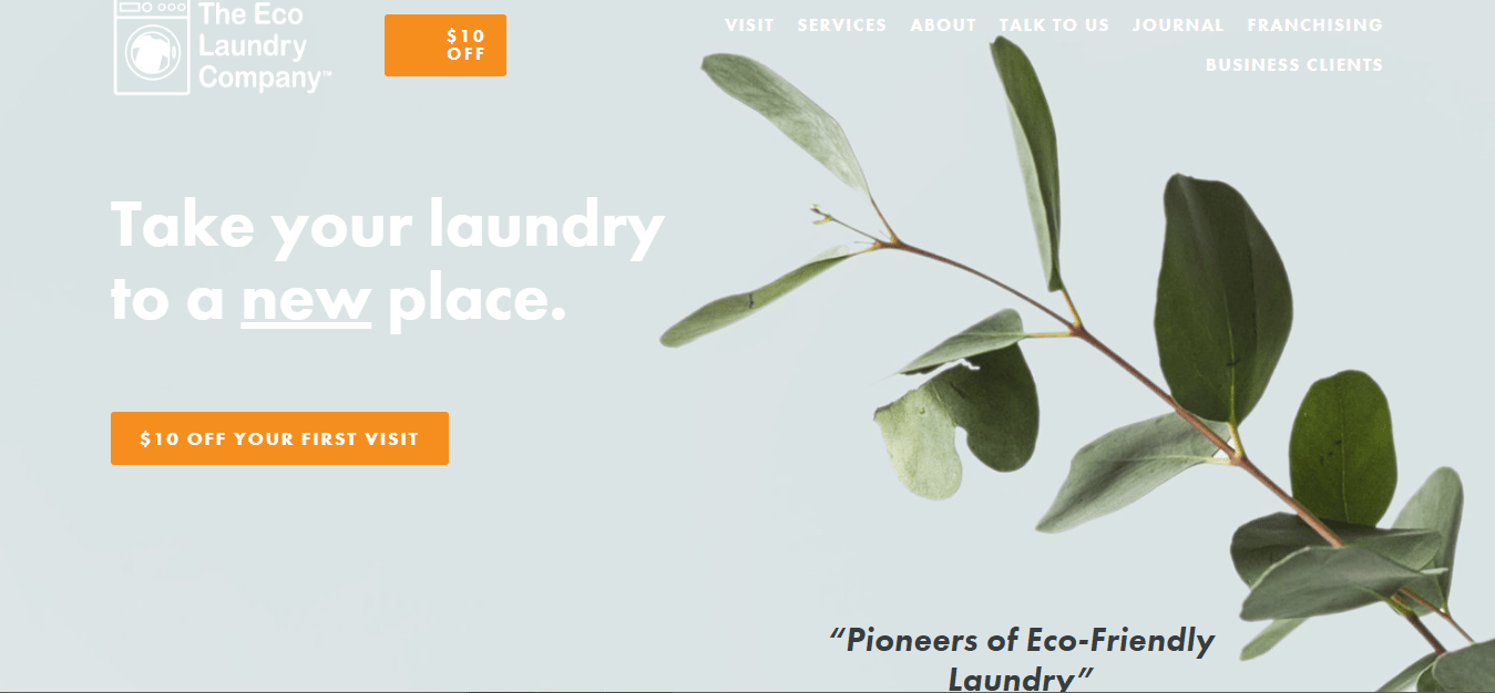The Eco Laundry Company in nyc