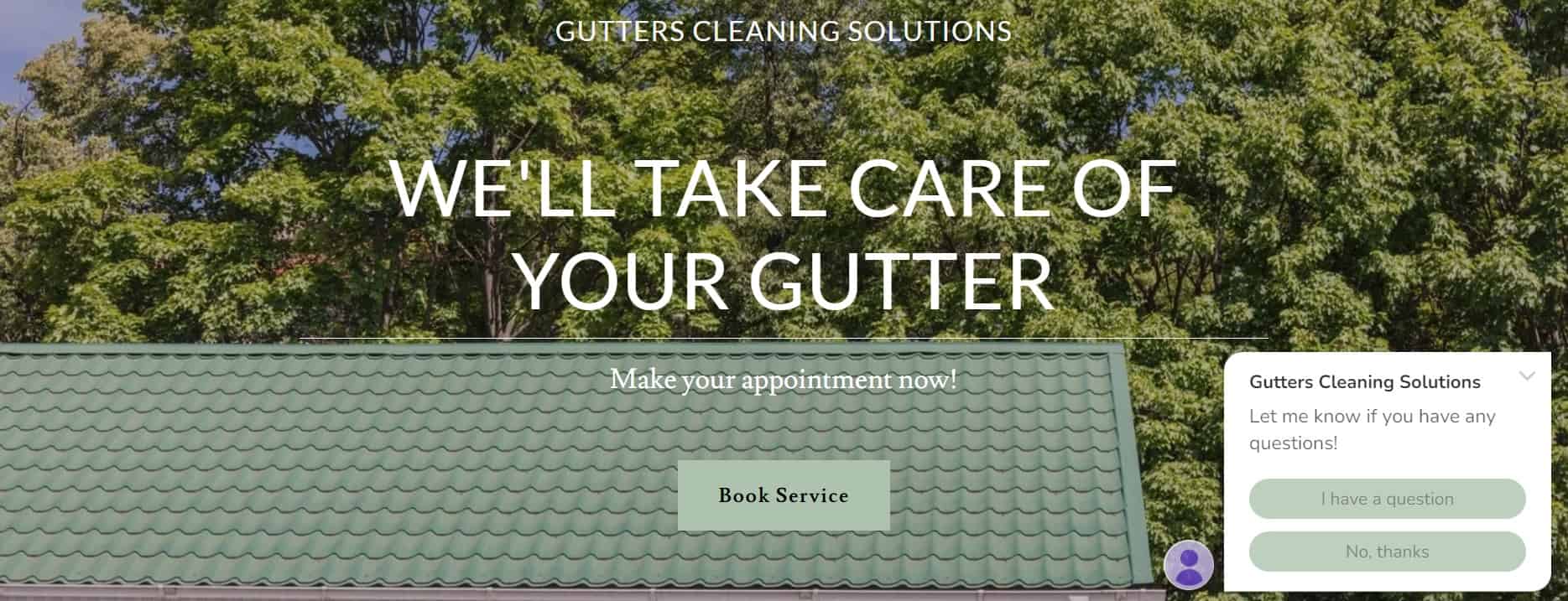 Gutters Cleaning Solutions' Homepage