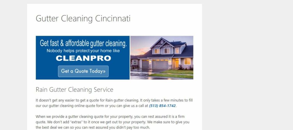 Clean Pro Gutter Cleaning's Homepage
