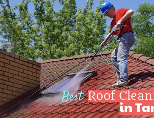 Best Roof Cleaning in Tampa