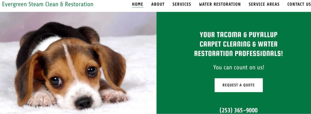 Evergreen Steam Clean & Restoration's Homepage