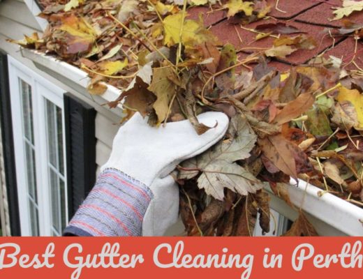 Best Gutter Cleaning in Perth