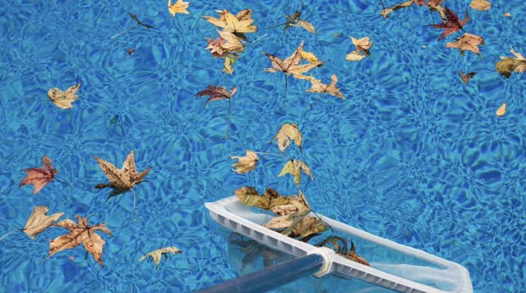 Skim leaves and scrub the pool area frequently
