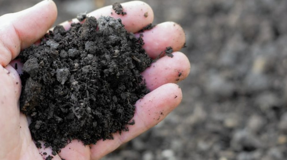 Test your soil