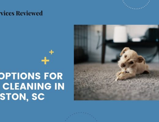 5 Best Options for Carpet Cleaning in Charleston