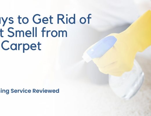 6 Ways to Get Rid of Vomit Smell from Your Carpet