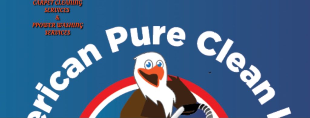 American Pure Clean LLC's Homepage