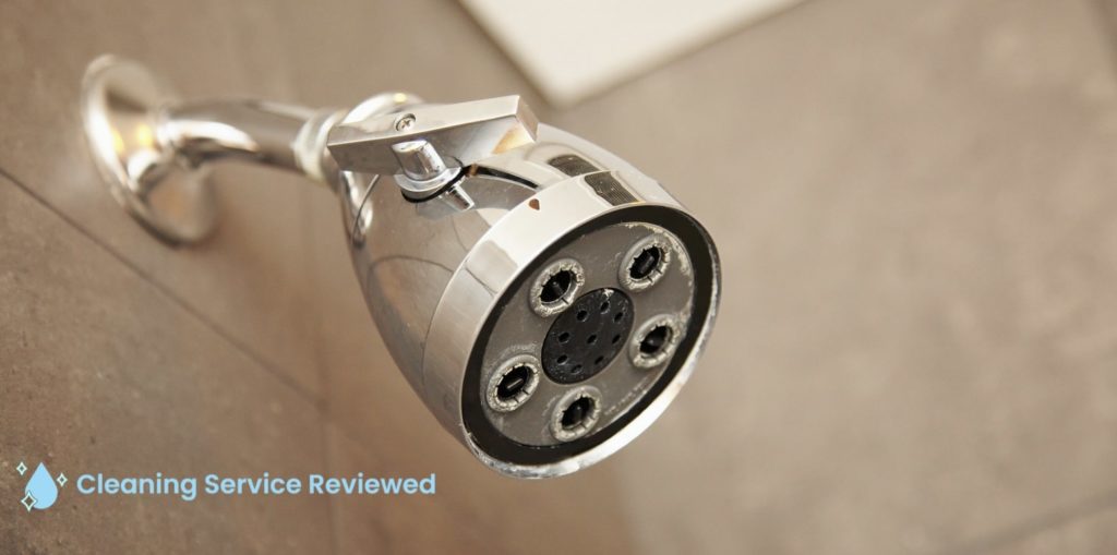 Let the showerhead soak for an hour or overnight