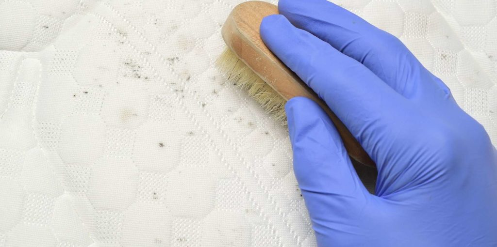 Scrub out the stains