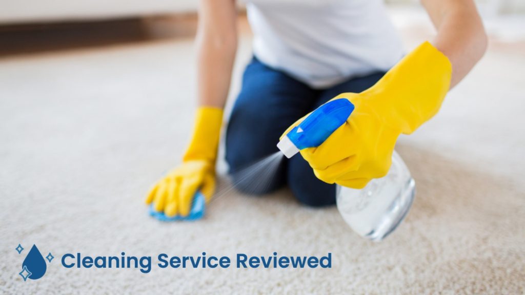 Use an enzyme-based cleaner
