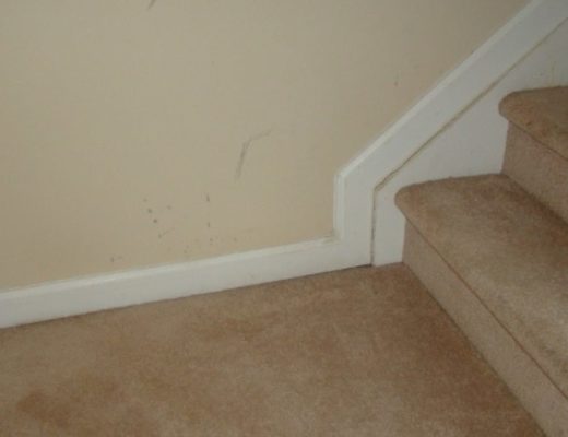 Scuff-Free Surfaces Mastering Scuff Mark Removal