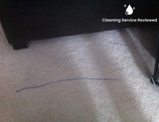 Stain-Free Sanctuary Remove Marker Stains from Your Carpet